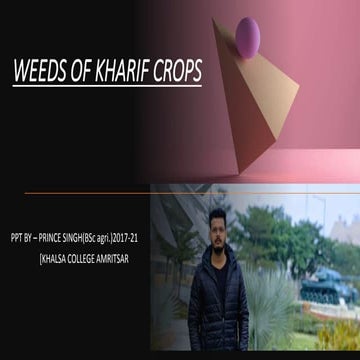 Kharif season weeds