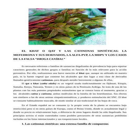 KHAT Y CATINONAS.pdf