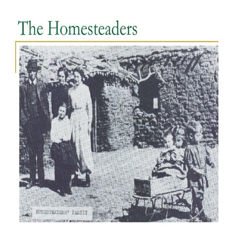 Homesteaders Reasons