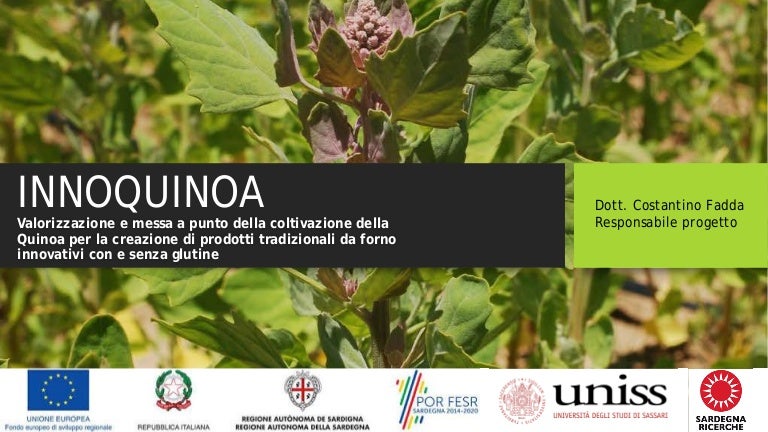 Dimmi Tutto Sulla Quinoa Come Si Cuoce Famelici