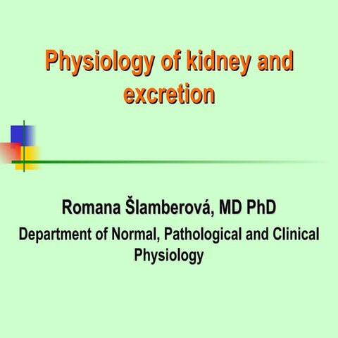 Kidney
