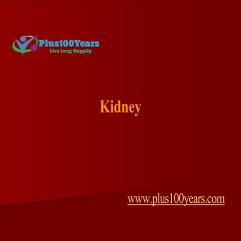 Kidney
