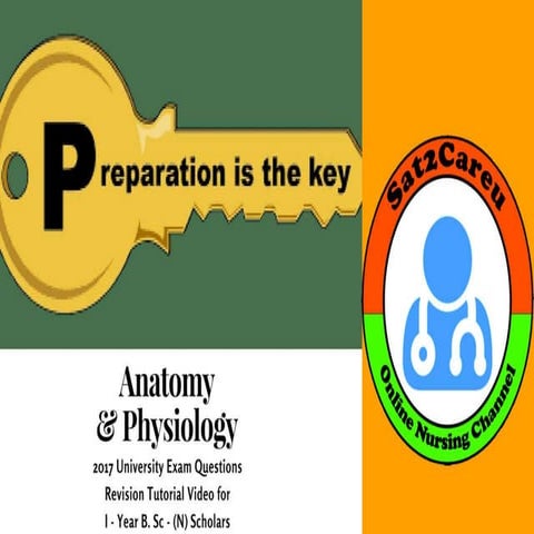 Anatomy UHSR Solved QP. 2017 for B. Sc Nursing Students