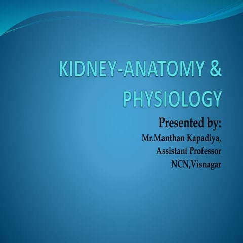 Kidney anatomy and physiology