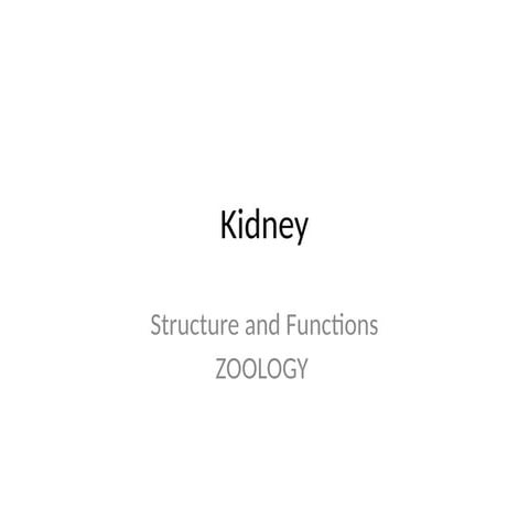 Overview of Kidney-Structure and Functions | PPTX