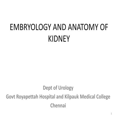 EMBRYOLOGY AND ANATOMY OF KIDNEY