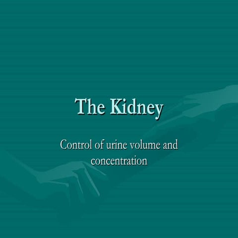 Kidney Control