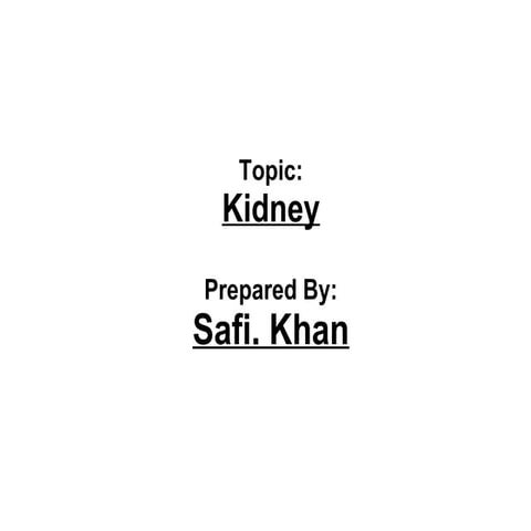 Kidney  ultrasound