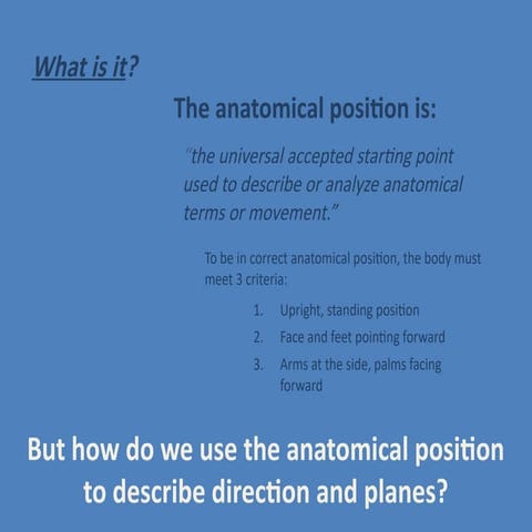 Basic Anatomy.pdf...Basic anatomy review on anatomical positions and ...