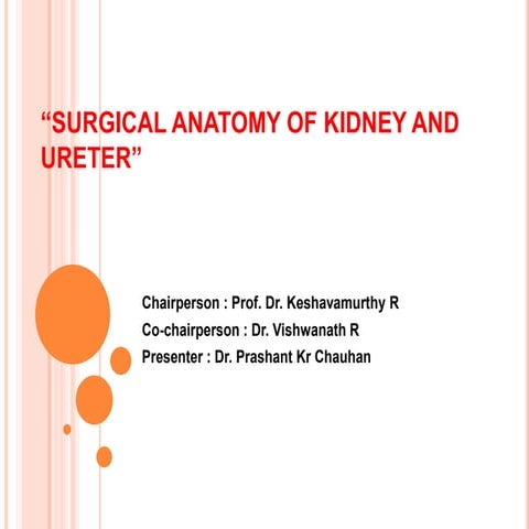 surgical anatomy of kidney and ureter