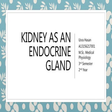 Kidney as an endocrine gland and its non excretory fuctions