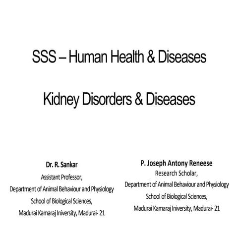 Kidney diseases SSS and the ultra structure.pptx