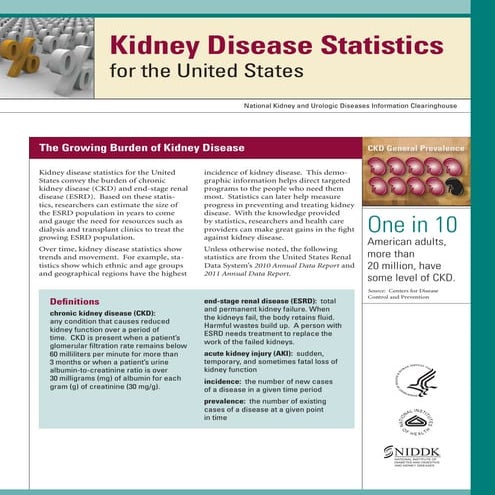 Top 5 Most Important Kidney Health Numbers – MYFV