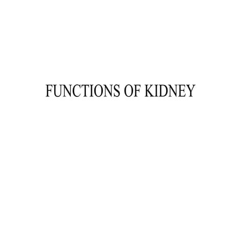 Kidney function