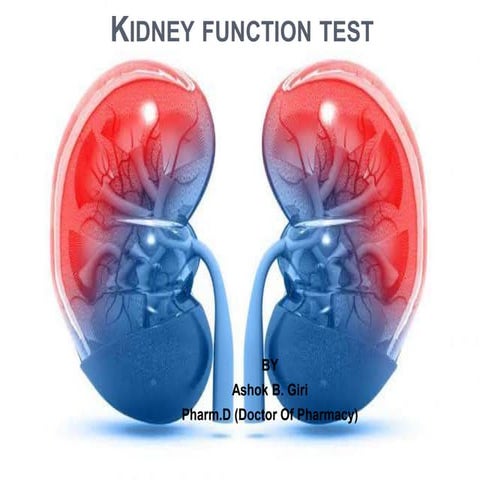 Kidney function test
