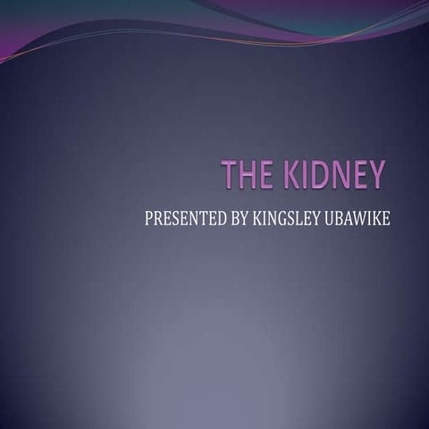 Kidney Power Point  Presentation