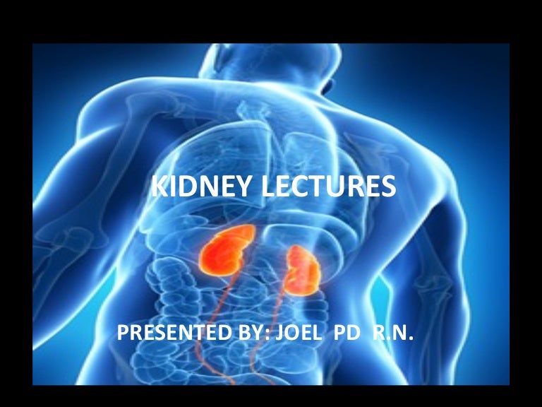 Kidneys