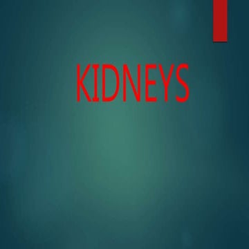 Comprehensive Gross Anatomy of Gallbladder, Pancreas, and Kidneys ...