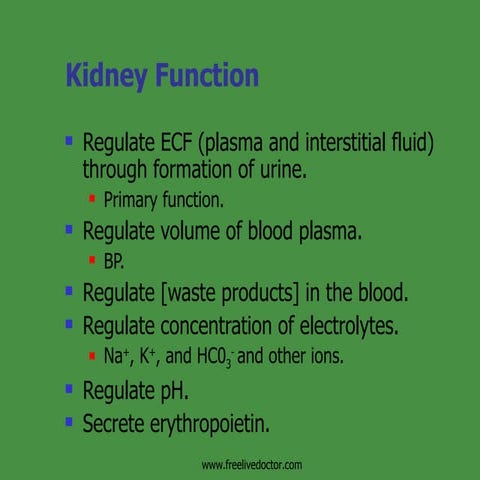 Kidneys& Its Function