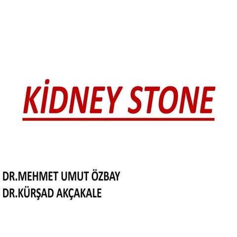 Ki̇dney stone