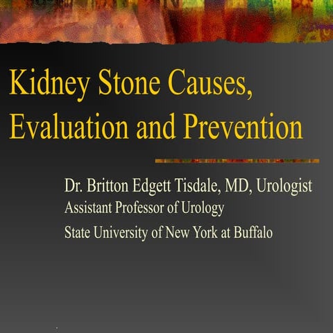 Kidney Stone Causes, Evaluation and Prevention