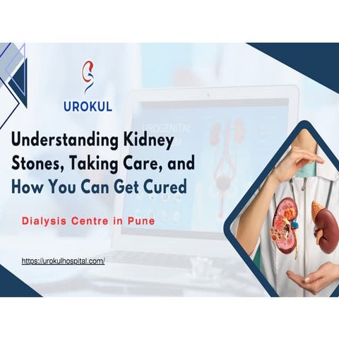Kidney visual data 7
