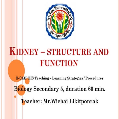 Kidney structure and function mee