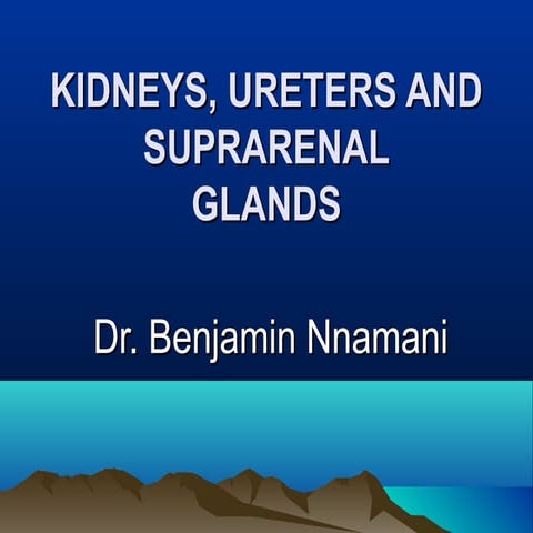 Kidneys, ureters and suprarenal glands
