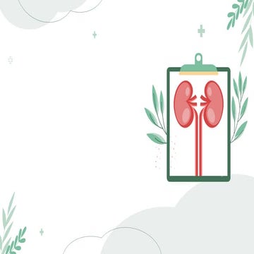 Kidney Transplant Clinical Case perspective