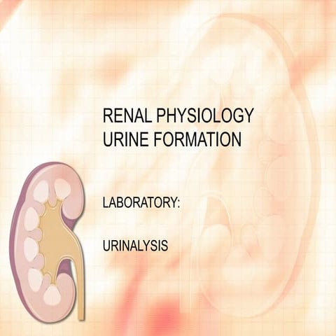 Kidney urine
