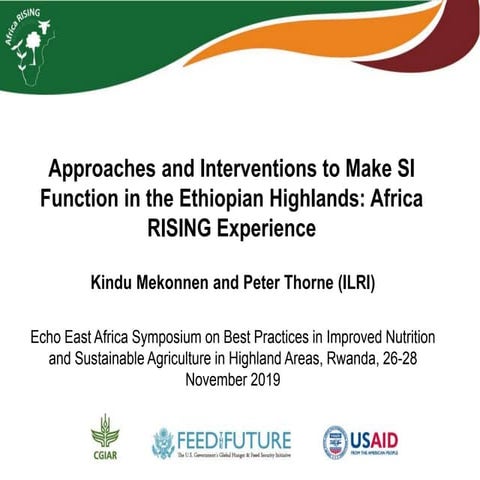 Approaches and interventions to make SI function in the Ethiopian Highlands: ...