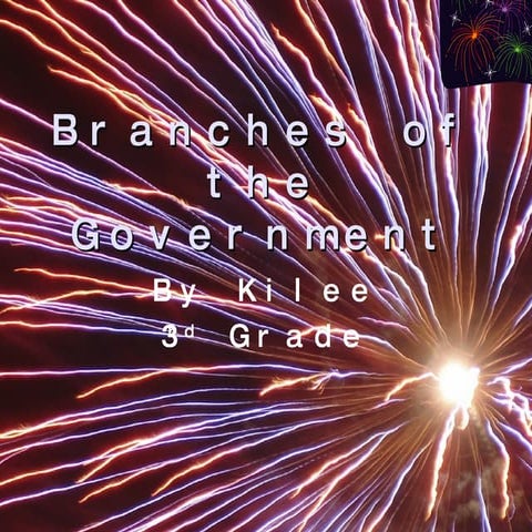 Branches of the Government
