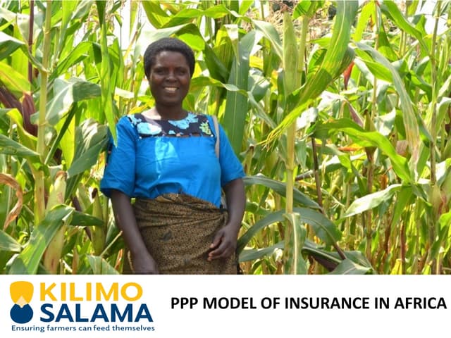 Kilimo Salama: PPP model of insurance in Africa   