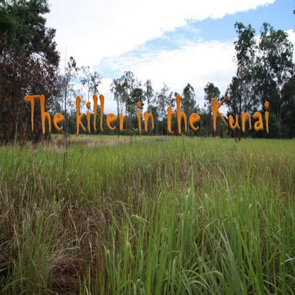 Killer in the Kunai by Dr. David Williams