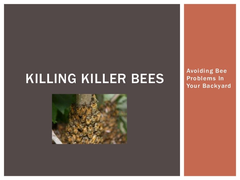 Killing Killer Bees Avoiding Bee Problems In Your Backyard