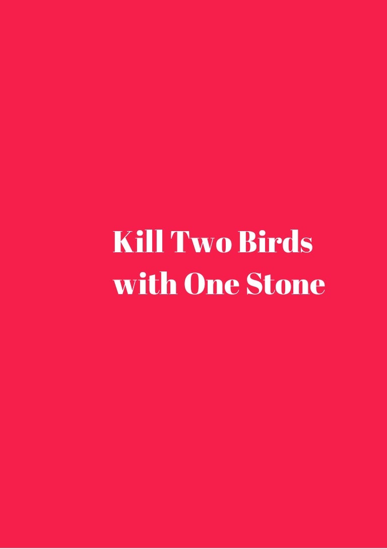 Kill Two Birds With One Stone Review And Download