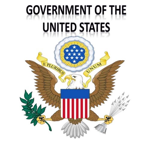 Government Of The USA