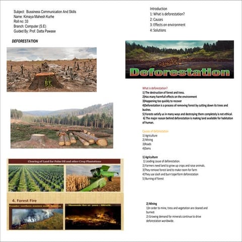 The Environment "Problem and Solution" | PPT