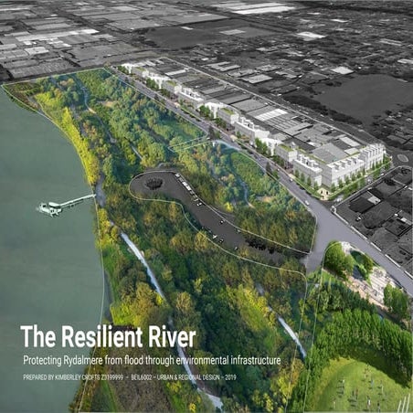 The Resilient River | PDF