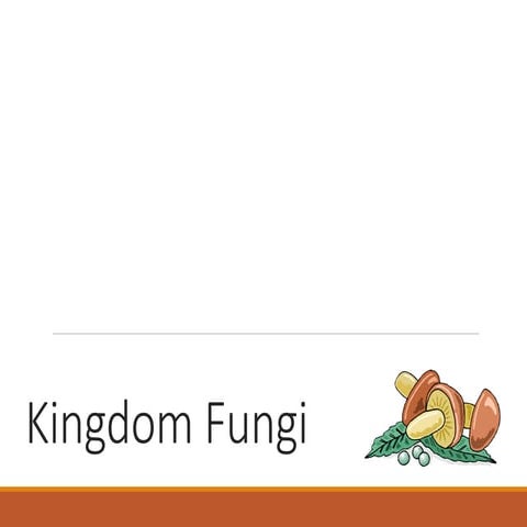 Kimgdom fungi