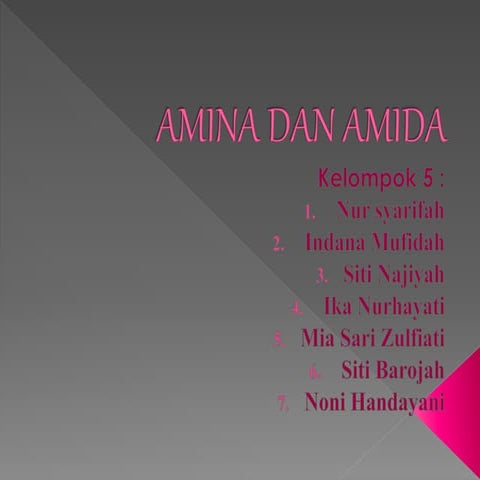 amina & amida