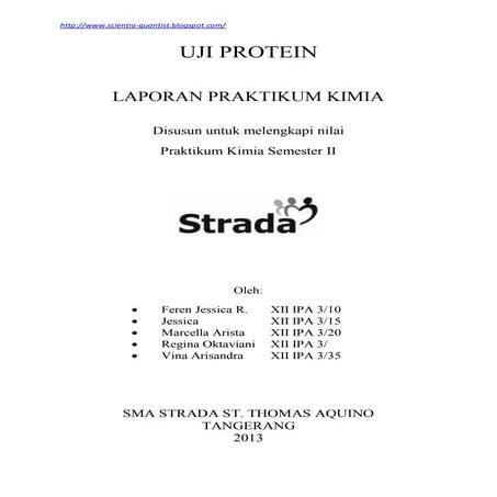 Laporan Praktikum Kimia_uji protein