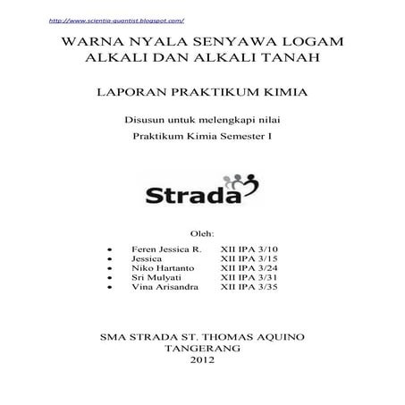 Laporan Praktikum Kimia_Warna Nyala