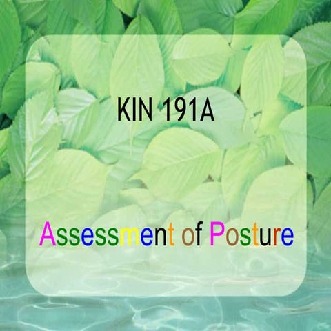 Kin191 A. Ch.3. Assessment Of Posture. Fall 2007