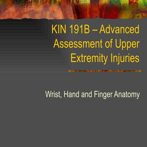 Kin 191 B – Wrist, Hand And Finger Anatomy | PPT