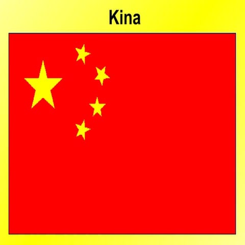 Kina - Saša Stojanović