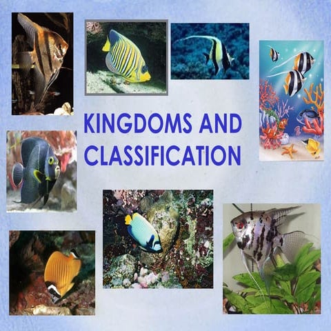 Kingdoms and classification