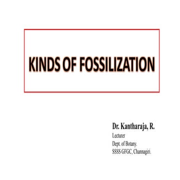 KINDS OF FOSSILIZATION.pptx