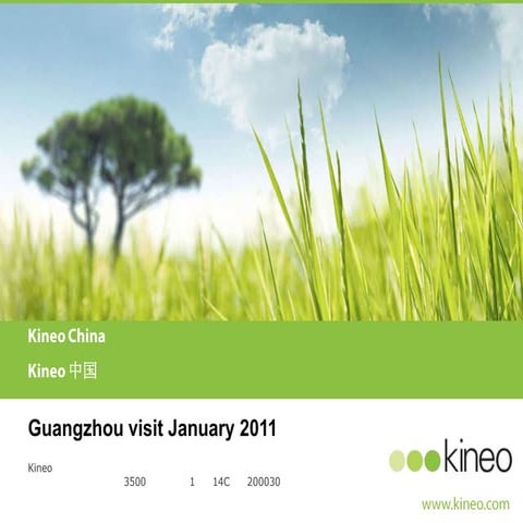 Kineo china