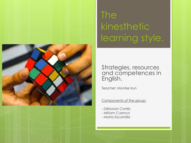 Learning style ppt | PPT